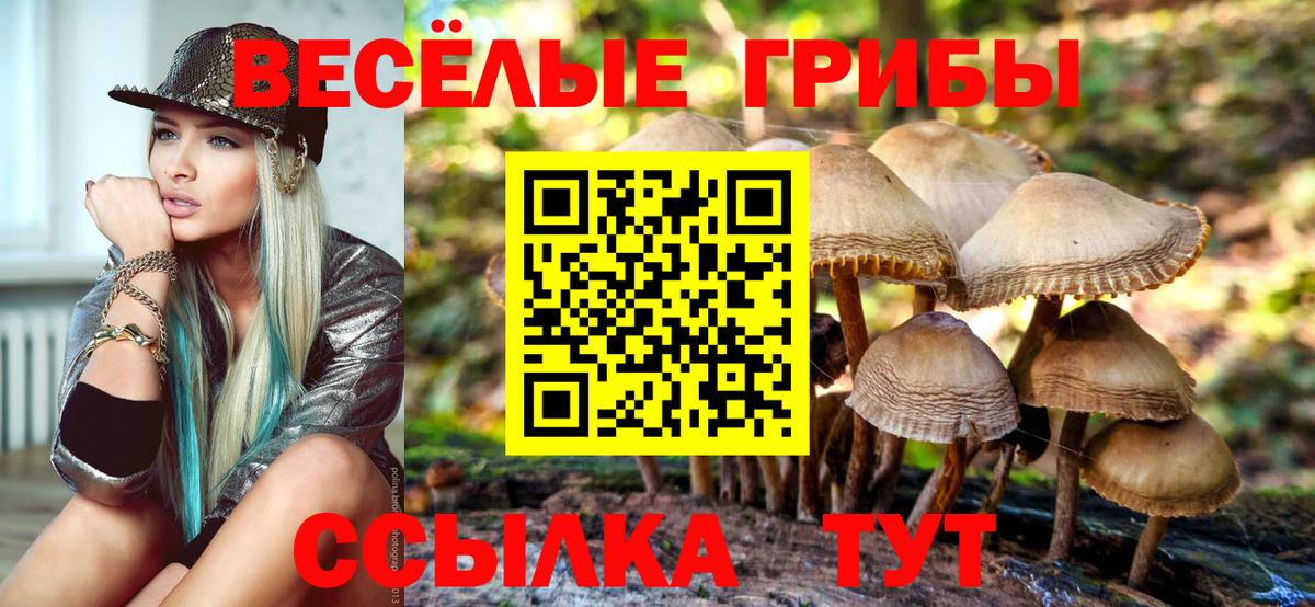 Псилоцибиновые грибы Cubensis Тельмана