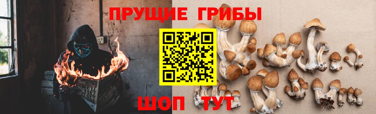 Псилоцибиновые грибы ЛСД  Вход с VPN  Тельмана  Галлюциногенные грибы Magic Shrooms 
